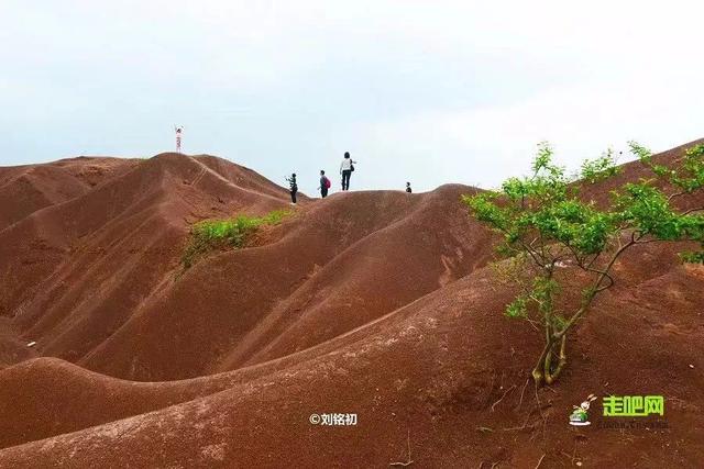 广东的秋天热到爆（广东最秋天的地方）