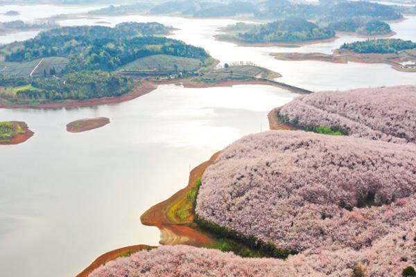 贵阳春天赏花好去处 12个最美赏花旅游景点