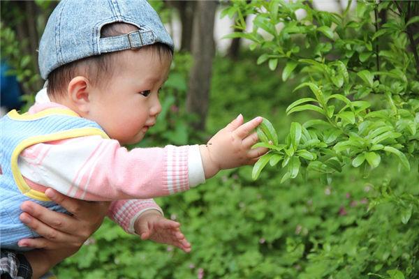 梦见天上下米