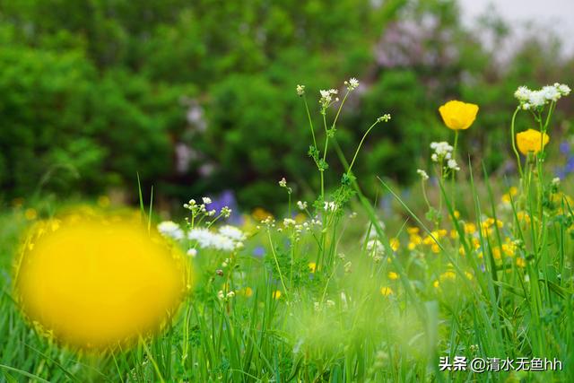 京北第一天路草原最佳游览（你在千松坝御风自驾）