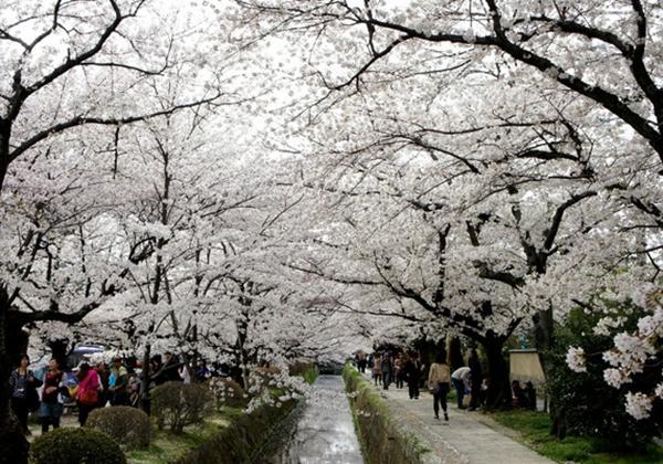 日本最强三大旅游胜地（日本必去的十大旅游胜地）