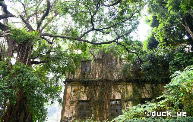 鼓浪屿哪个景点值得去玩（带你解锁鼓浪屿三个人少景美本地人都难找到的景点）